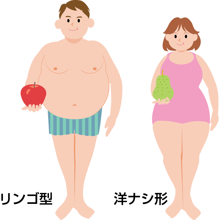 肥満の原因 症状 疾患ナビ 健康サイト 肥満の原因 症状 疾患ナビ 健康サイト