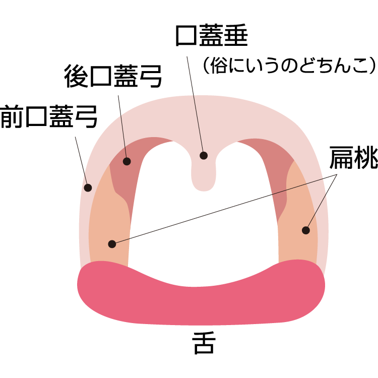 いびきの原因 症状 疾患ナビ 健康サイト