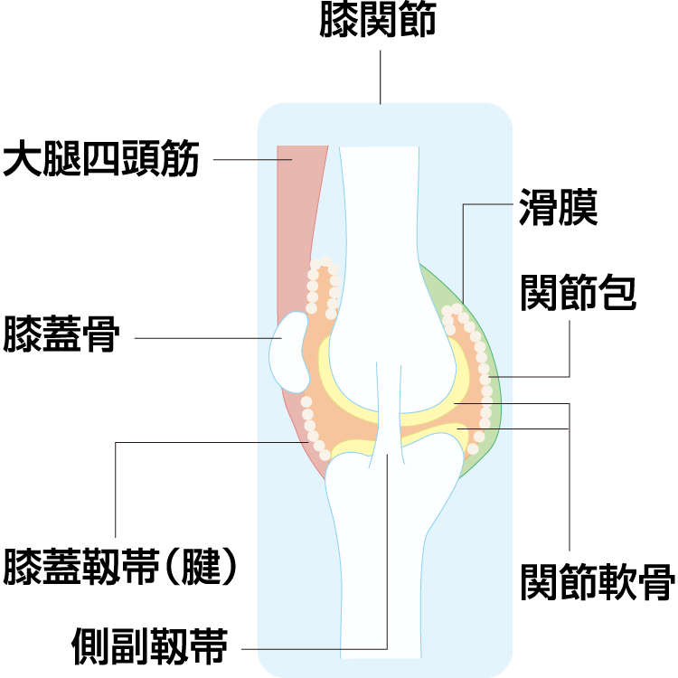 手足のこわばりの原因 症状 疾患ナビ 健康サイト 手足のこわばりの原因 症状 疾患ナビ 健康サイト