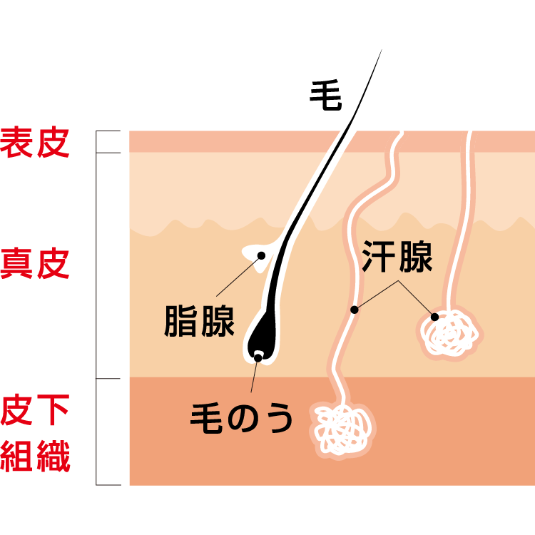 やけどの原因 症状 疾患ナビ 健康サイト