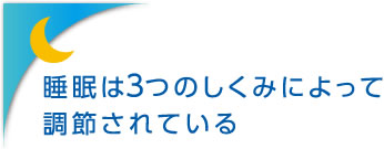 睡眠は3つのしくみによって調節されている