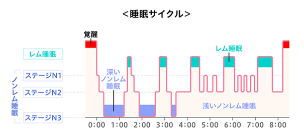 睡眠パターン