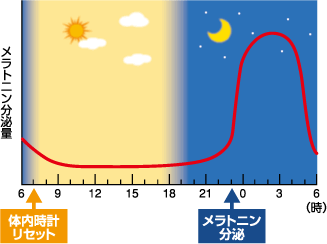 メラトニン分泌量のグラフ