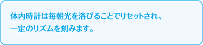 体内時計は毎朝光を浴びることでリセットされ、一定のリズムを刻みます。