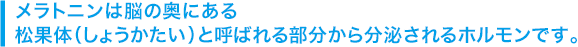 メラトニンは脳の奥にある松果体（しょうかたい）と呼ばれる部分から分泌されるホルモンです。