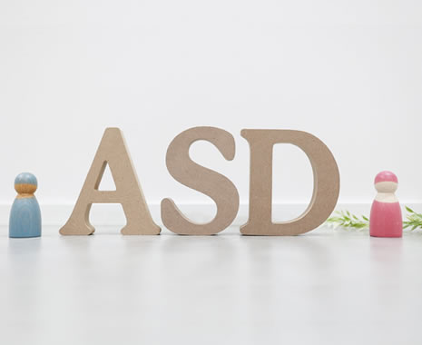 ASDのイメージの模型