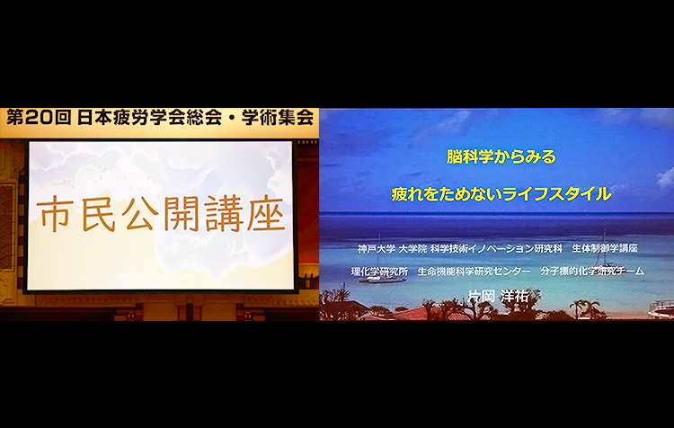 【日本疲労学会 市民公開講座】「脳科学からみる疲れをためないライフスタイル」