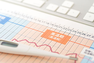 安全日・危険日とはいつ？予測方法や排卵との関連、妊娠確率について知ろう