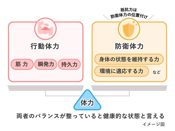 行動体力と防衛体力のバランスの重要さを表すイラスト