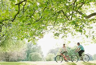 疲れの対処法　運動とビタミン編：運動と疲労