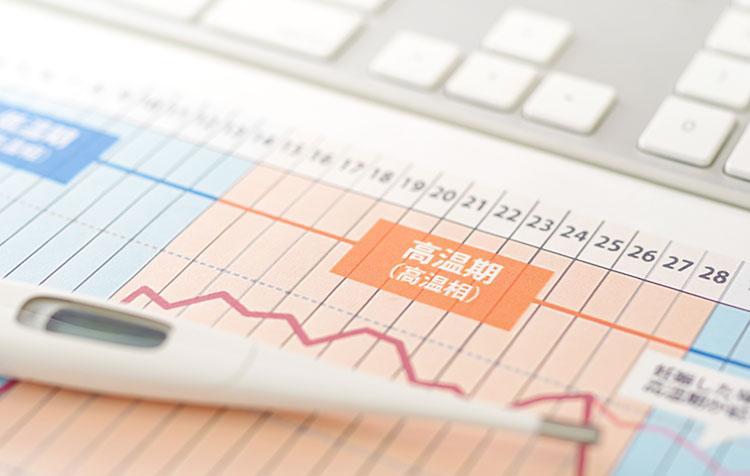 安全日・危険日とはいつ？予測方法や排卵との関連、妊娠確率について知ろう