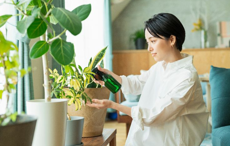 忙しい社会人におすすめのストレス発散方法！ ストレスを少しでも緩和しよう