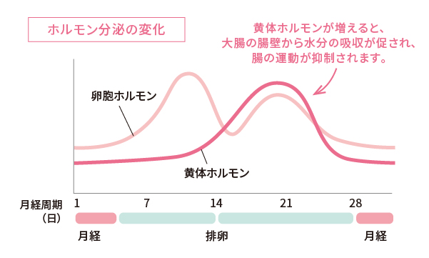 生理前の便秘の原因 症状 疾患ナビ 健康サイト