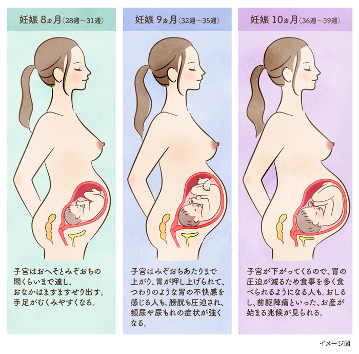 妊娠後期はいつから 症状やおすすめの過ごし方 臨月について知っておこう 健康サイト