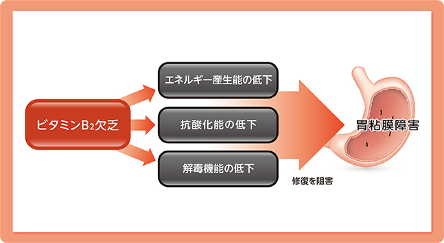 胃粘膜障害の修復阻害のイメージ