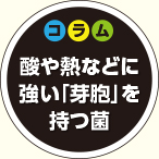 コラム