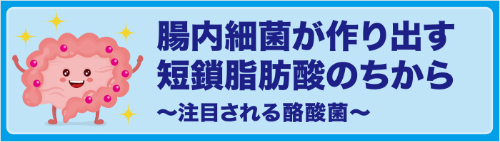 腸内細菌が作り出す短鎖脂肪酸のちから~注目される酪酸菌~