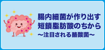 腸内細菌が作り出す短鎖脂肪酸のちから~注目される酪酸菌~