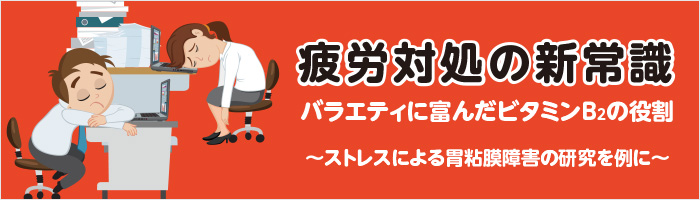 疲労対処の新常識バラエティに富んだビタミンB2の役割~ストレスによる胃粘膜障害の研究を例に~