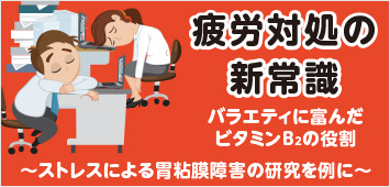 疲労対処の新常識バラエティに富んだビタミンB2の役割~ストレスによる胃粘膜障害の研究を例に~